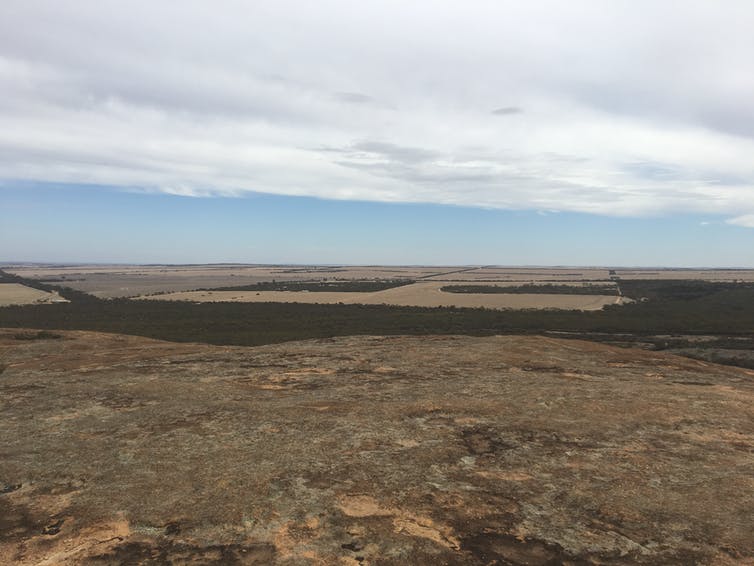 The view from Wave Rock over Western Australia’s farm lands. Tony Hughes-D'Aeth