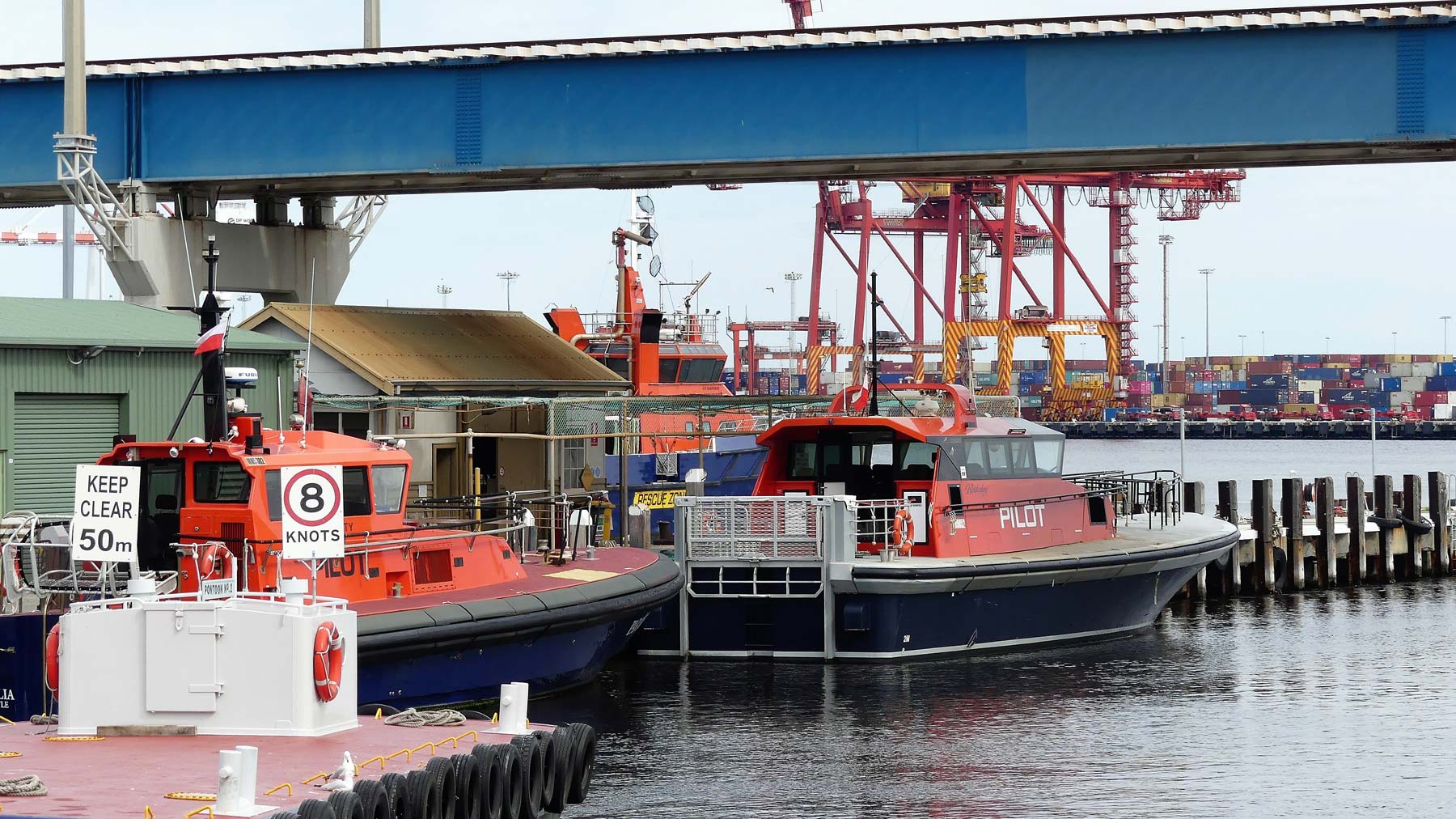 Berkeley - Ships in Fremantle Port - Fremantle Shipping News