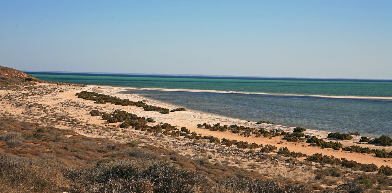 Coastline at Shark Bay