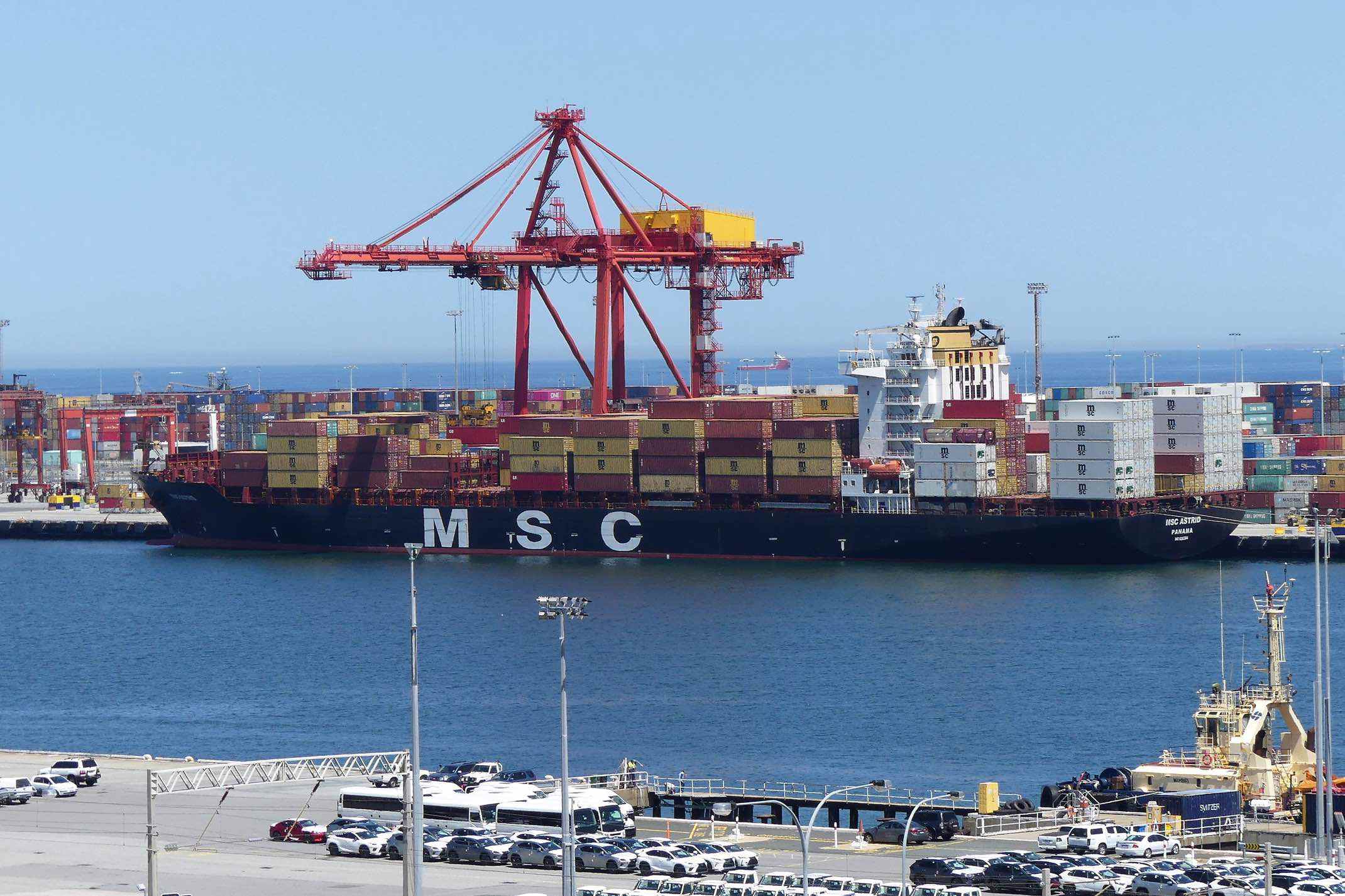 MSC Astrid - Ships in Fremantle Port - Fremantle Shipping News