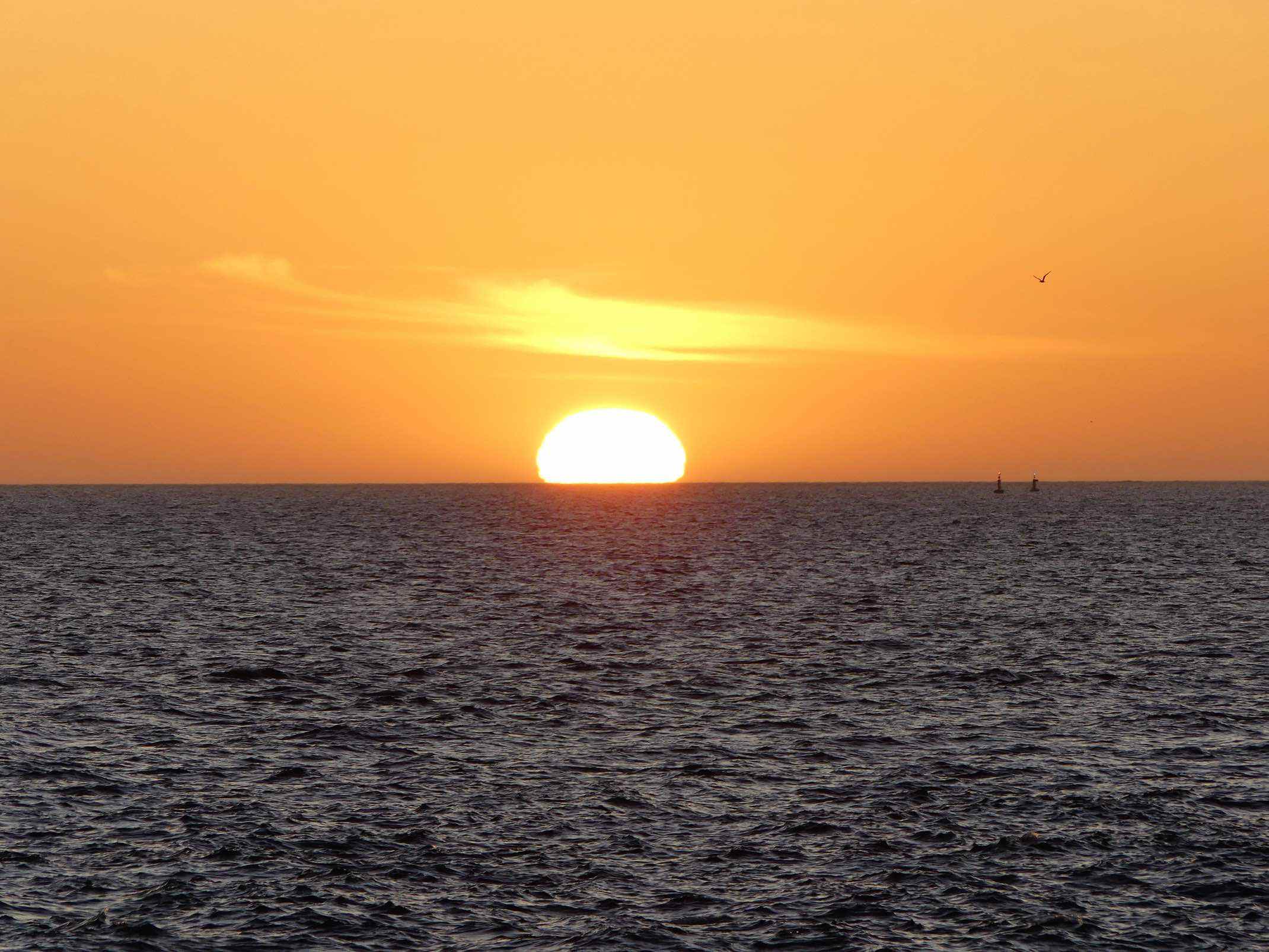 Sun setting over the ocean