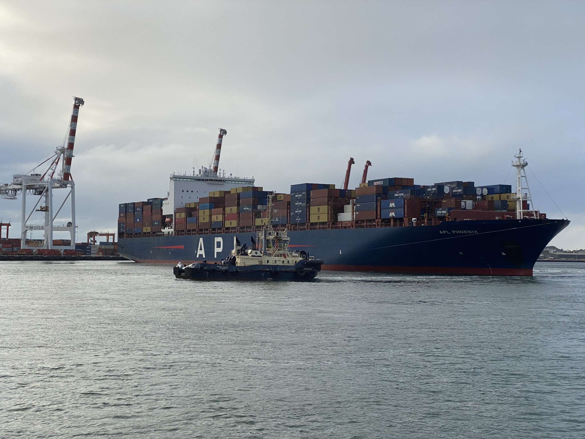 cma-cgm-apl-anl-et-al-what-s-in-an-acronym-fremantle-shipping-news