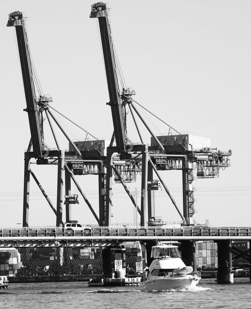 Our Port 'Giraffes' looking rather grand in black and white.