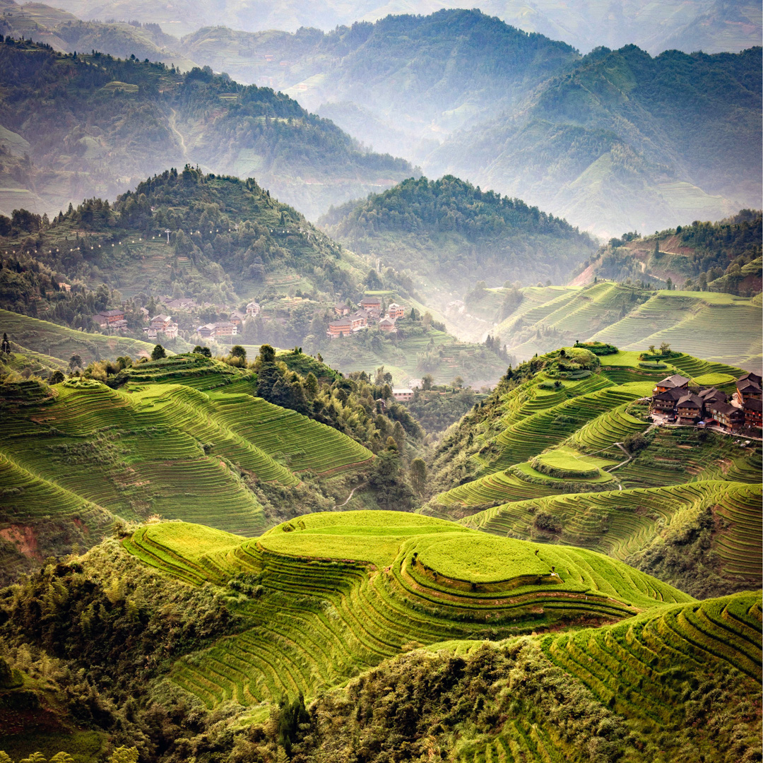 Guilin rice terraces-11