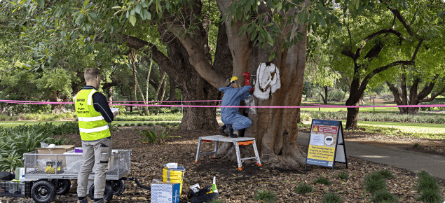 DPIRD at work