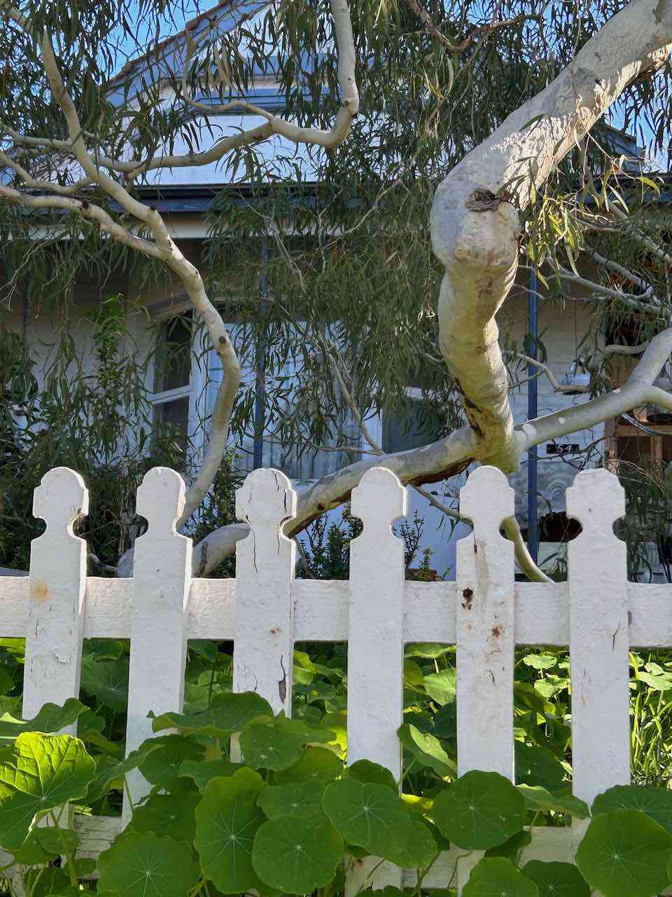 Photo 7.